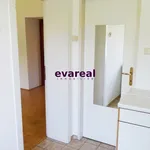 Rent 2 bedroom apartment of 50 m² in Graz