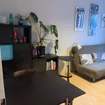 Rent 1 bedroom apartment of 52 m² in Prague