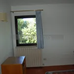 Rent 3 bedroom apartment of 65 m² in Perugia