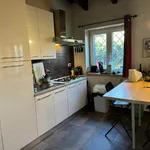 Rent 2 bedroom house of 50 m² in Rome