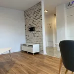 Rent 2 bedroom apartment of 44 m² in Chorzów