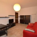 Rent 2 bedroom apartment of 50 m² in Rozzano