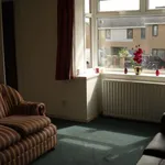 Rent 1 bedroom apartment in Yorkshire And The Humber