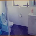 Rent 4 bedroom house in Puketāpapa