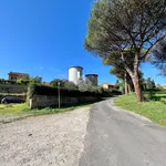 Rent 2 bedroom apartment of 78 m² in Roma