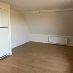 Huur 2 slaapkamer appartement van 76 m² in OUDENAARDE