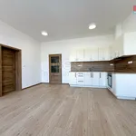 Rent 3 bedroom apartment in Hodonín