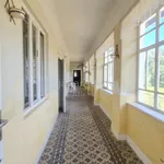 Rent 4 bedroom house of 6160 m² in Dunaszentgyörgy