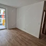 Rent 2 bedroom apartment of 46 m² in budapest