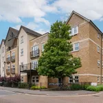 Rent 1 bedroom apartment in Oxford