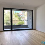 Rent 2 bedroom apartment of 52 m² in Prague