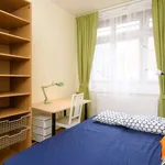 Rent a room in prague