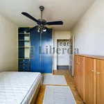 Rent 3 bedroom apartment of 65 m² in Lublin