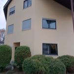 Rent 2 bedroom apartment of 49 m² in Erlangen