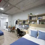 Alugar 1 quarto apartamento em porto