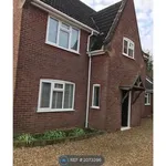 Rent 4 bedroom house in Norwich