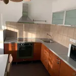 Rent 1 bedroom apartment in Beroun