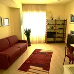 Rent 1 bedroom apartment in Rome