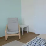 Rent a room in prague