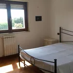 Rent 2 bedroom apartment of 73 m² in Roma