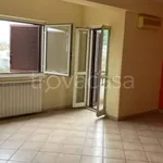 Rent 4 bedroom apartment of 120 m² in Velletri