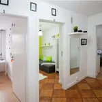 Rent 3 bedroom apartment in warsaw