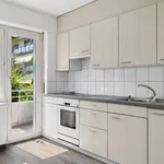 Rent 4 bedroom apartment in Olten