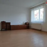 Rent 1 bedroom apartment in Praha 10