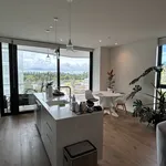 Rent 1 bedroom apartment in Albert-Eden