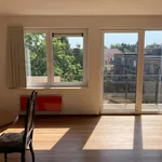 Rent 1 bedroom apartment in brussels