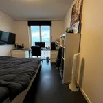 Rent 3 bedroom apartment of 160 m² in Amsterdam