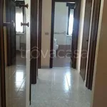 Rent 5 bedroom apartment of 80 m² in Foggia