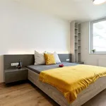 Rent 4 bedroom apartment of 118 m² in Brno