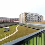 Huur 4 slaapkamer appartement van 100 m² in Stadshart