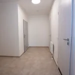 Pronajměte si 1 ložnic/e byt o rozloze 65 m² v Pilsen