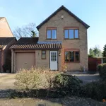 Rent 3 bedroom house in South Norfolk