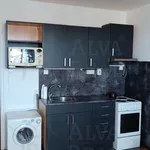 Rent 2 bedroom apartment of 44 m² in Brno