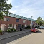 Huur 3 slaapkamer huis van 146 m² in Eindhoven