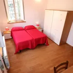 Rent 6 bedroom apartment in Florence