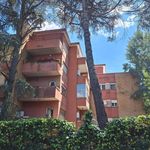 Monolocale di 35 m² a Rome