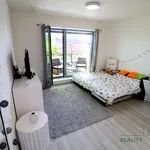 Rent 1 bedroom apartment of 40 m² in Brno