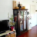 Rent 2 bedroom apartment of 65 m² in Noventa Padovana