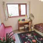 Rent 1 bedroom apartment of 20 m² in Prague