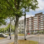 Rent 2 bedroom apartment of 54 m² in Amsterdam