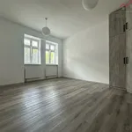 Rent 1 bedroom apartment in Chomutov