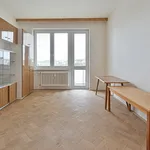 Rent 3 bedroom apartment in Brno