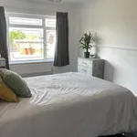 Rent a room in Colchester