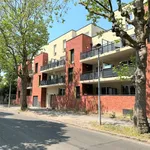 Rent 2 bedroom apartment of 43 m² in PESSAC