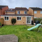 Rent 4 bedroom house in Bedlington