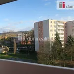 Rent 2 bedroom apartment of 48 m² in Zlín